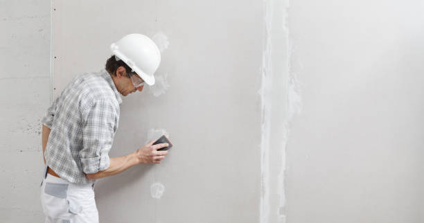 Best Drywall Removal and Disposal  in Kaunakakai, HI